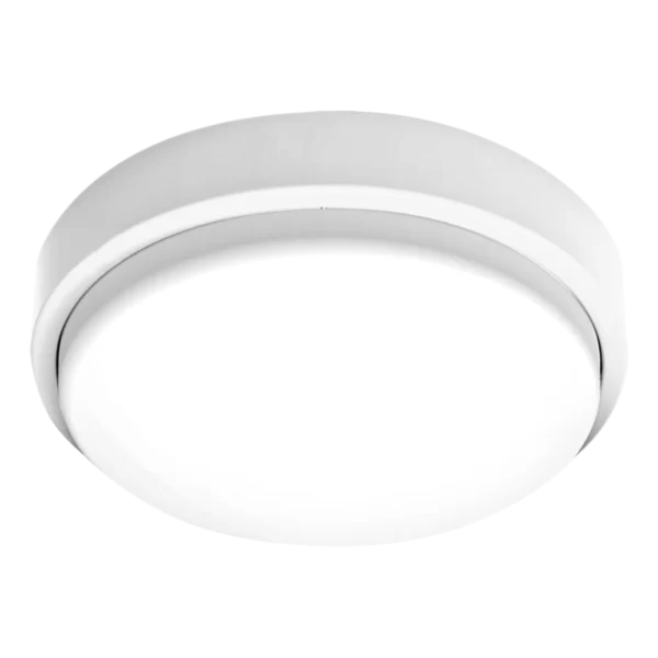 24W Outdoor Oyster Light