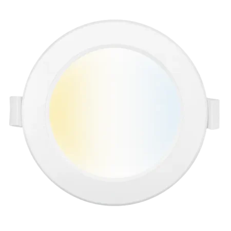 Smart LED Downlight